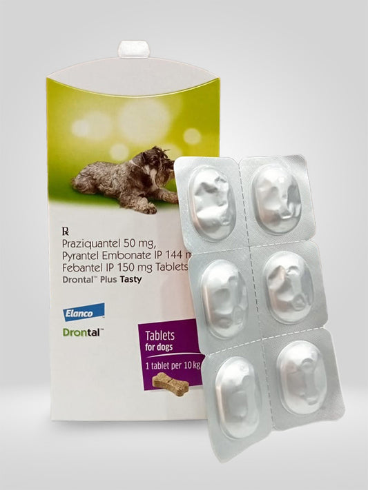 Drontal Tasty Tabs (Pack of 6) - Pet Central