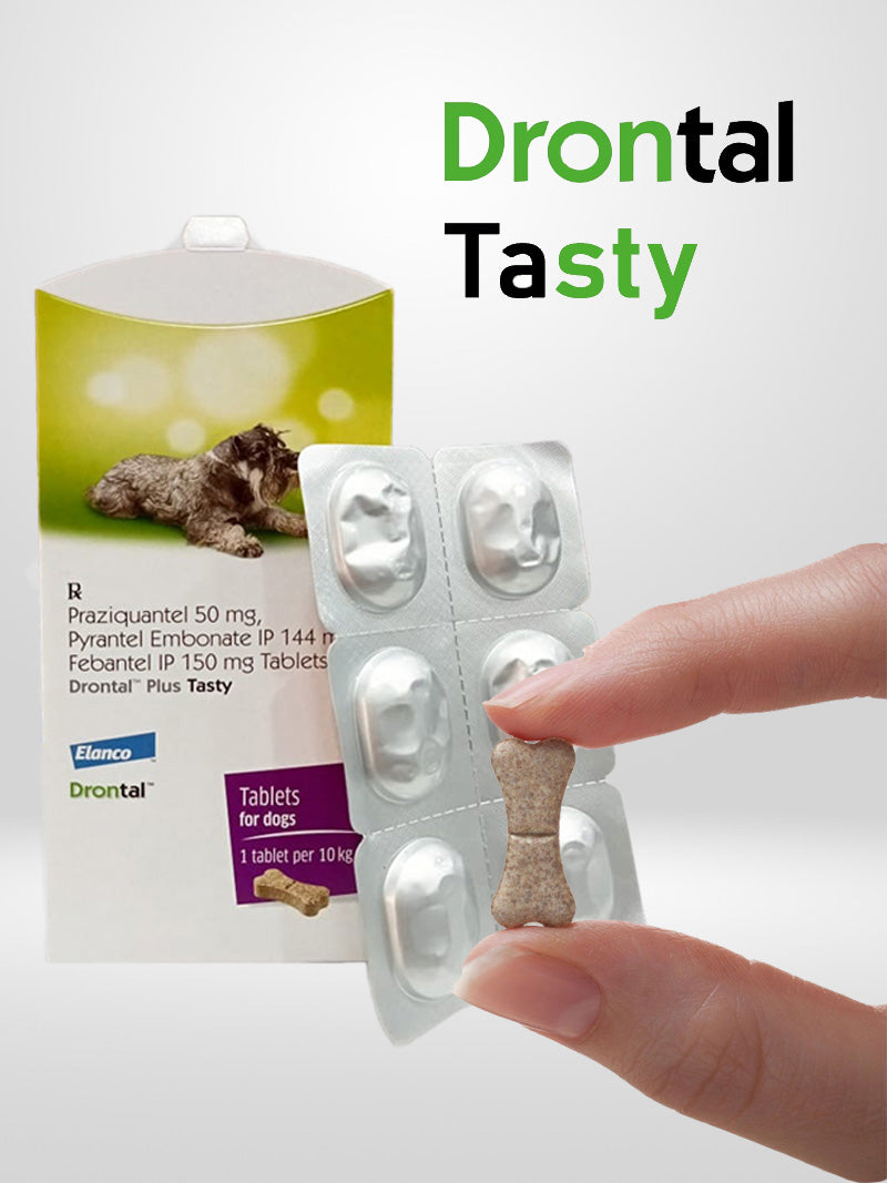 Drontal Tasty Tabs (Pack of 6) - Pet Central