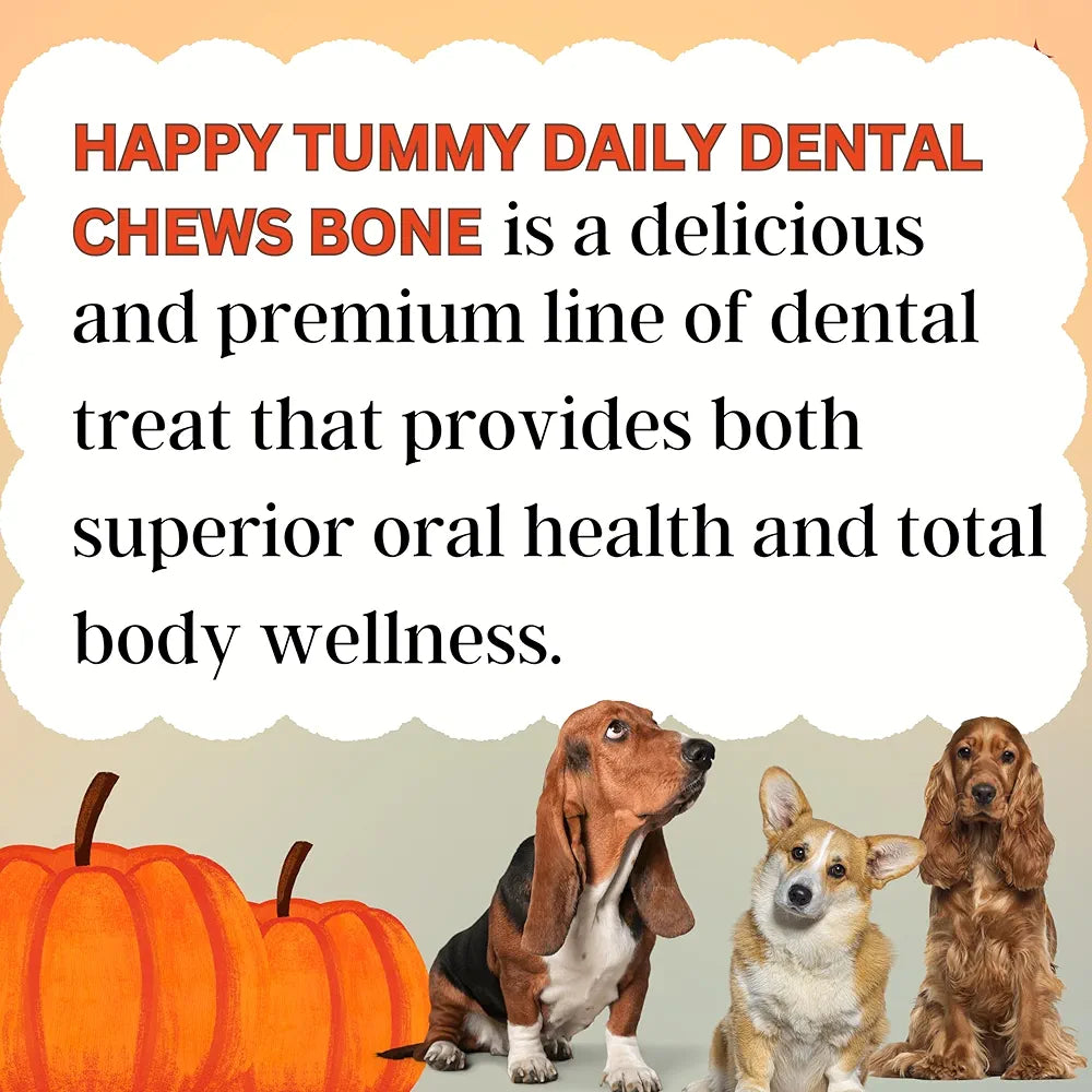 Happy Tummy Bone Treat for Medium to Large Dogs | Daily Dental Chew for Dogs | Better Immunity, Healthy Vision, & Assists | Sold by Foodie Puppies with Free Key Ring