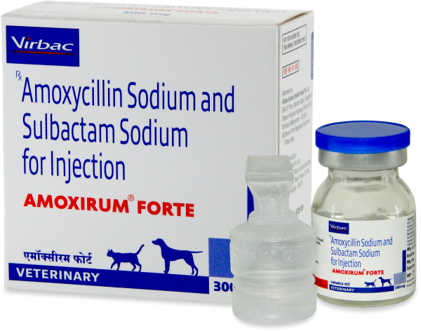 Amoxirum Forte®