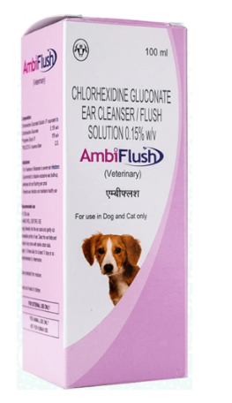 Intas Ambiflush 100 ml veterinary ear cleanser for dogs and cats with chlorhexidine gluconate to treat ear infections and dissolve wax buildup