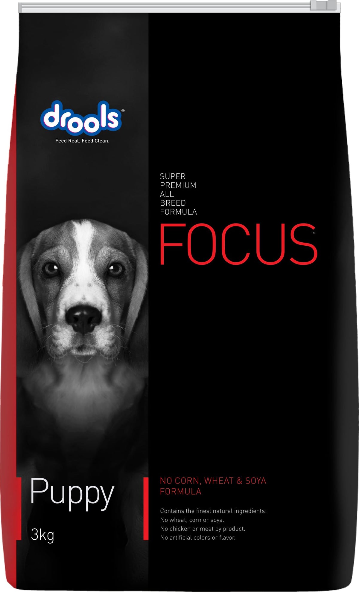 Focus Puppy