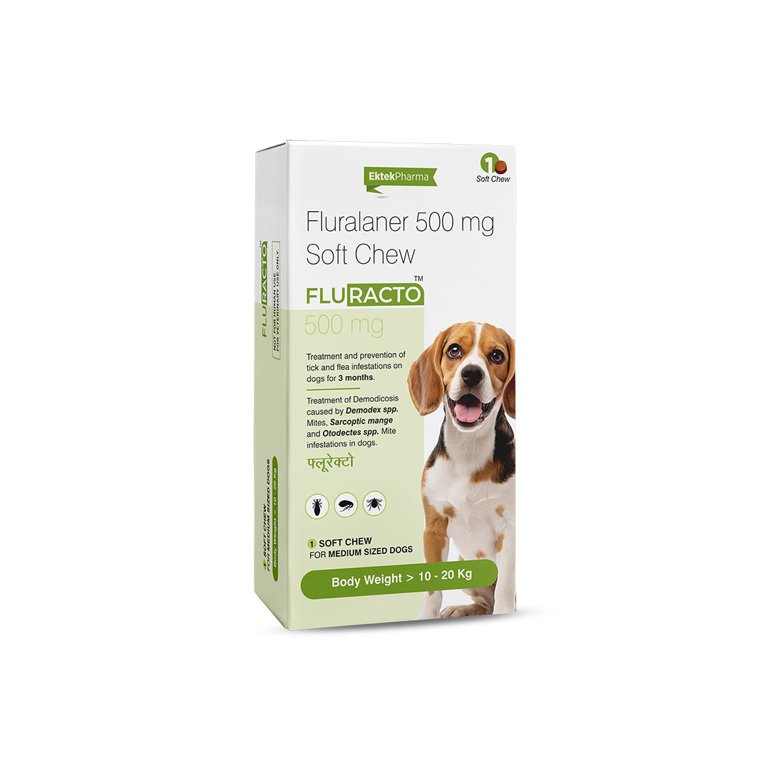 Fluracto Chewable Tablets for Dogs | Flea & Tick Control