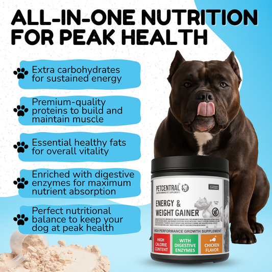 PETCENTRAL Energy & Weight Gainer for Dogs with high-calorie content, featuring digestive enzymes, and chicken flavor.