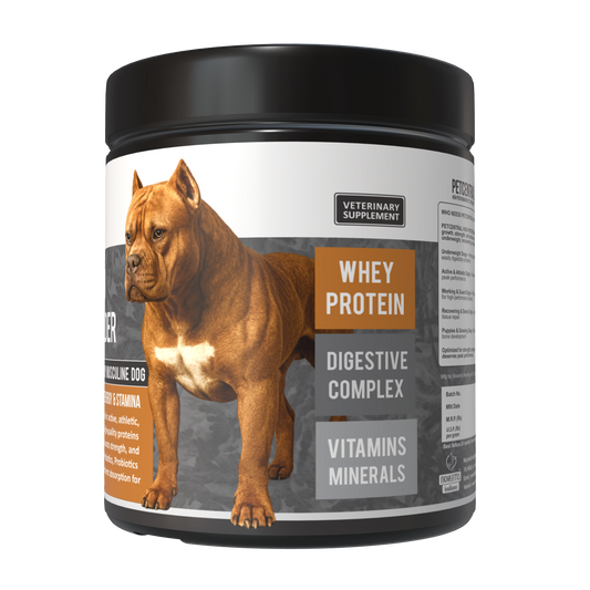 Petcentral® High-Protein Muscle Builder for Dogs – Strength & Recovery Support