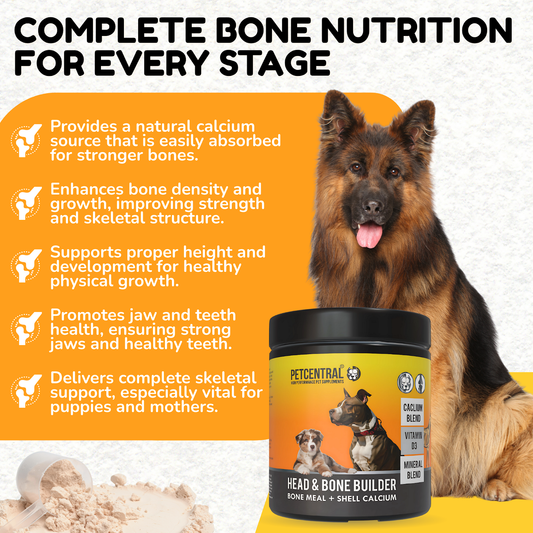 PETCENTRAL® Head & Bone Builder – Calcium & Mineral Supplement for Dogs