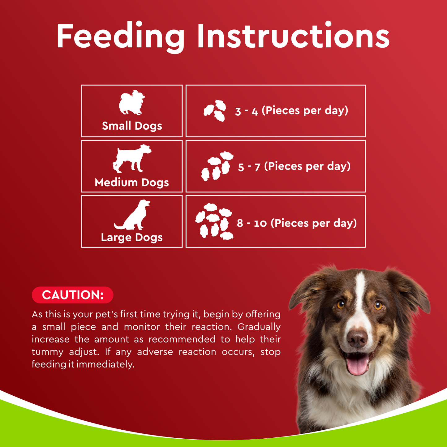Drools Dehydrated Real Chicken Giblets Chews Treat for Dogs