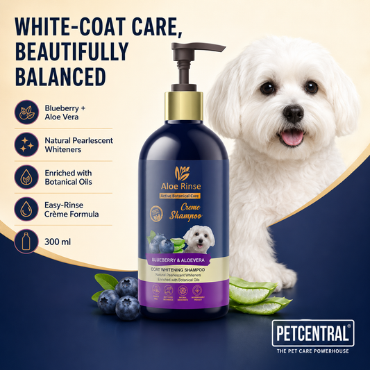 Aloe Rinse Blueberry & Aloe Vera Coat Whitening Shampoo - 300 ml