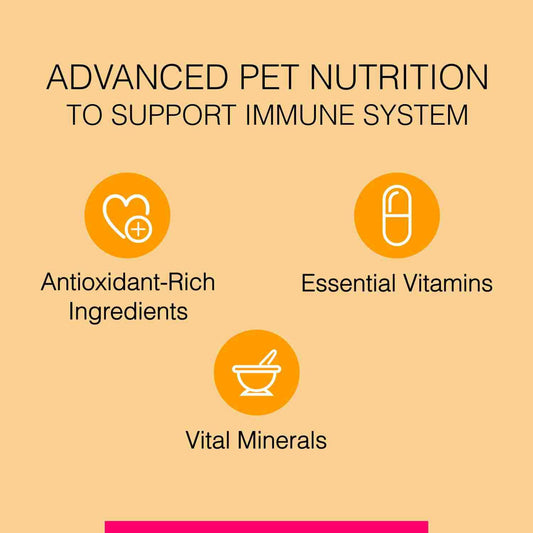 Canine Creek Club - Pet Central