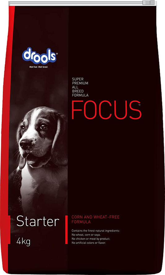 Focus Starter - Pet Central