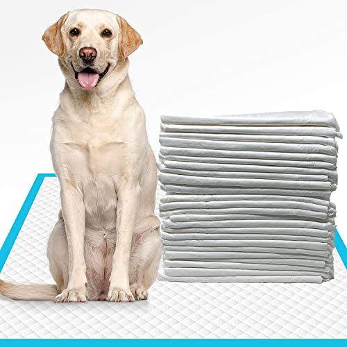 Goodies Training Pads Medium - Pet Central