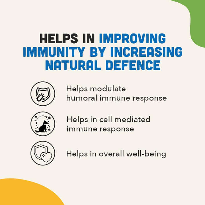 IMMUNITY BITES -For Dogs - Pet Central