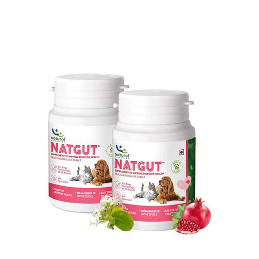 Natgut Digestive supplement for dogs & cats, 24 tabs - Pet Central