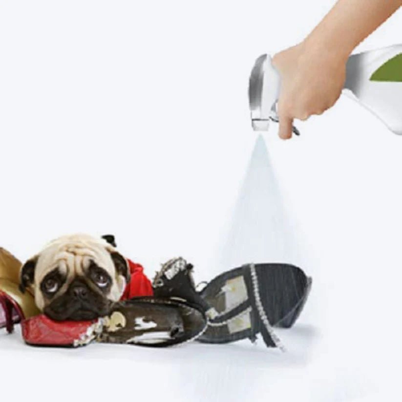 Out! No Chew Deterrent Spray For Dogs - 500 ml - Pet Central