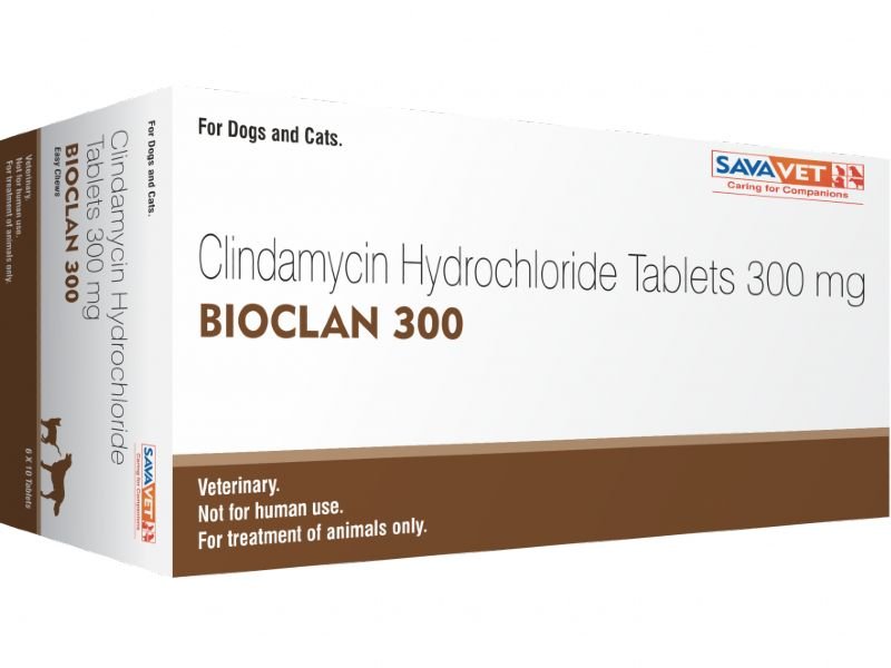 Sava BIOCLAN 300 (1X10) TABLETS - Pet Central