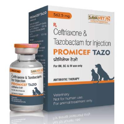 Sava PROMICEF TAZO (562.5MG) INJECTION - Pet Central