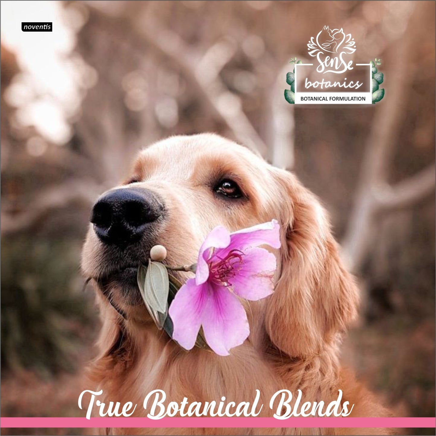 Sense Botanics™ Himalayan Rose & Aloe Shampoo 200 ml - Pet Central