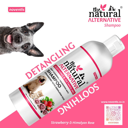The Natural Alternativeยฎ Himalayan Rose & Strawberry 1 Ltr - Pet Central