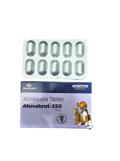 Atovaquone Atovabrut tablets 250mg for dogs & cats, 10 tabs