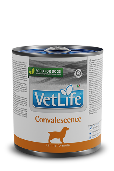VetLIfe Convalescence Canine Wet Food Can
