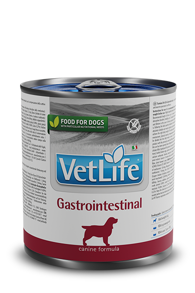 VerLIfe Gastrointestinal Canine Wet Food Can