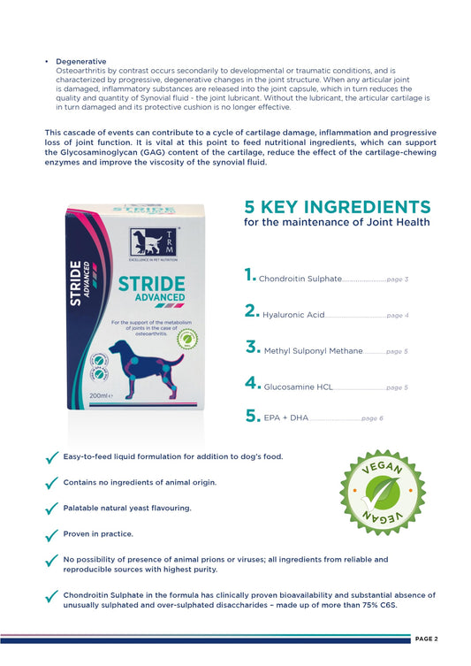 Stride Plus Canine Joint Support Syrup 200ml | Glucosamine, Chondroitin, MSM & Hyaluronic Acid for Dogs