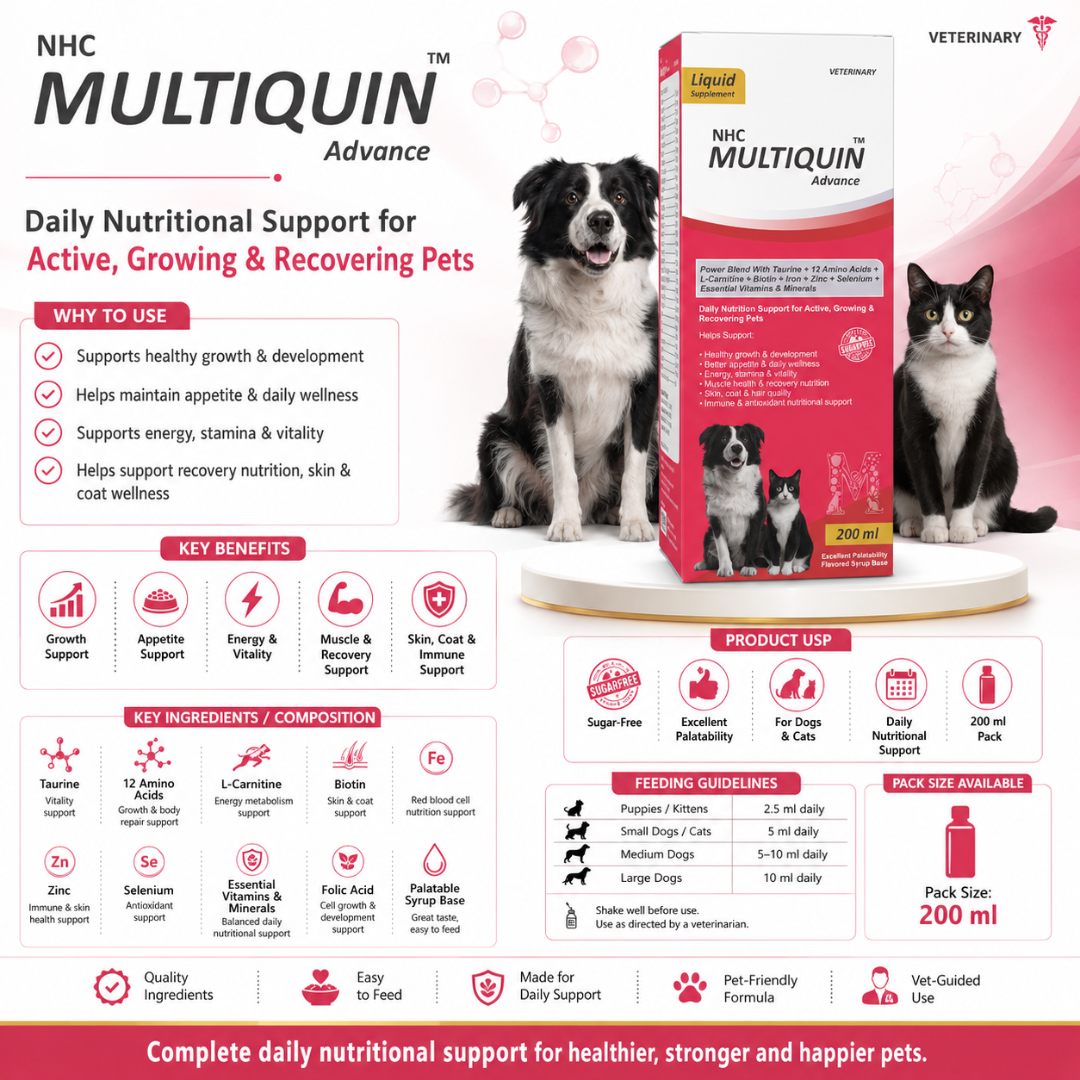 NHC Multiquin Advance Multivitamin for Dogs & Cats - 200 ml