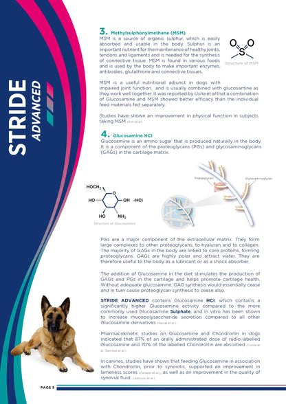 Stride Plus Canine Joint Support Syrup 200ml | Glucosamine, Chondroitin, MSM & Hyaluronic Acid for Dogs