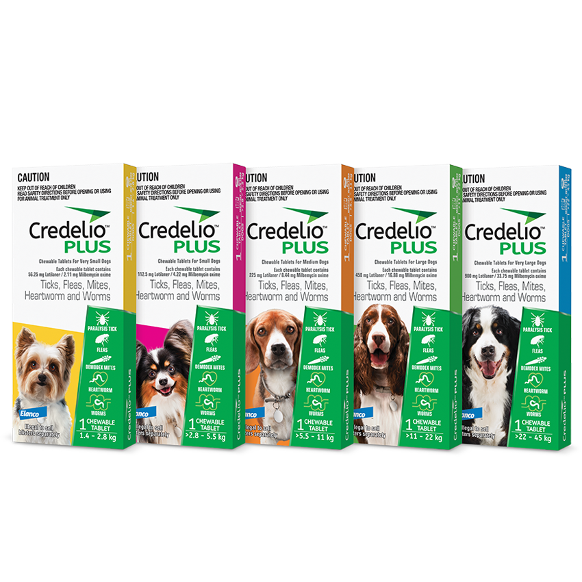 Elanco Credelio Plus Chewable Tablets for Dogs | Flea, Tick, Worm & Heartworm Protection | 3 Tabs (3 Months Supply)