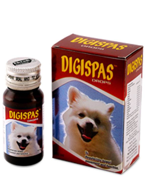 All4Pets Digispas Drop - Pet Central