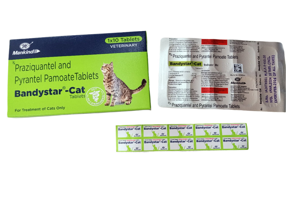 Bandystar Cat Tablet: Effective Deworming for a Healthy, Happy Cat ...