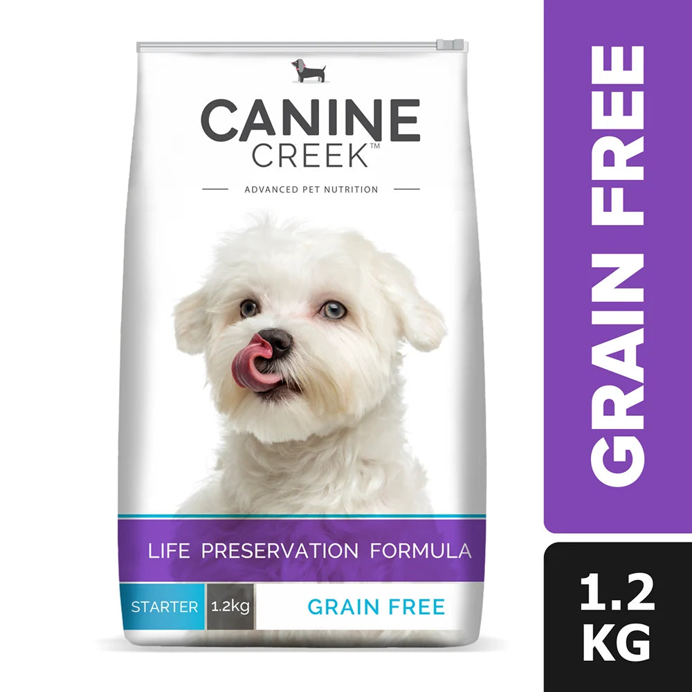 Canine Creek Starter