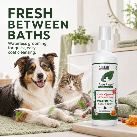 Aloe Rinse Fruit & Berries Waterless Bath Spray for Dogs & Cats | No-Rinse Dry Shampoo | Coconut, Honey & Aloe Vera | 200 ml