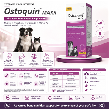 Ostoquin Maxx Advanced Bone Health Supplement - 200 ml