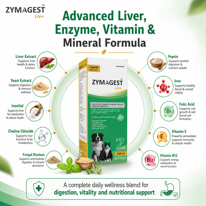 Zymagest Liv+ Digestive & Liver Supplement - 200 ml