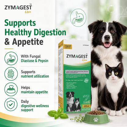Zymagest Liv+ Digestive & Liver Supplement - 200 ml