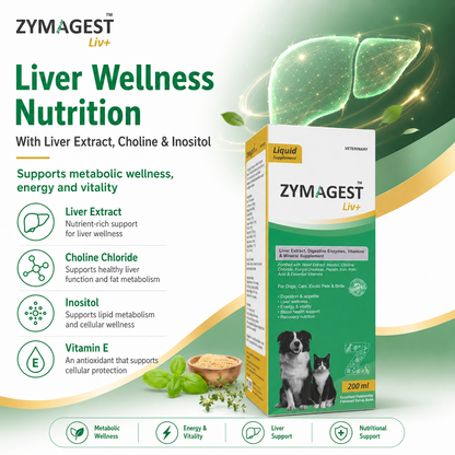 Zymagest Liv+ Digestive & Liver Supplement - 200 ml