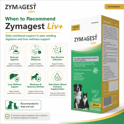 Zymagest Liv+ Digestive & Liver Supplement - 200 ml