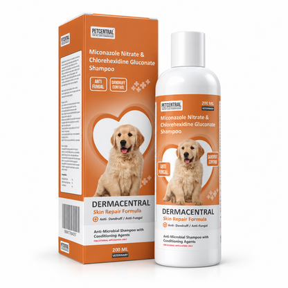 DERMACENTRAL Miconazole Nitrate & Chlorhexidine Gluconate Antifungal Dog Shampoo – Anti-Dandruff, Antibacterial, Skin Repair Formula
