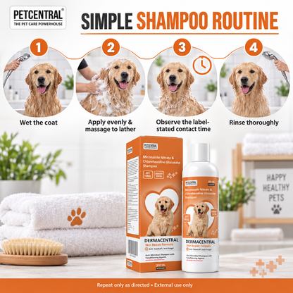 DERMACENTRAL Miconazole Nitrate & Chlorhexidine Gluconate Antifungal Dog Shampoo – Anti-Dandruff, Antibacterial, Skin Repair Formula