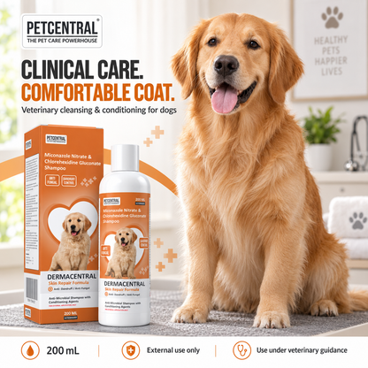 DERMACENTRAL Miconazole Nitrate & Chlorhexidine Gluconate Antifungal Dog Shampoo – Anti-Dandruff, Antibacterial, Skin Repair Formula