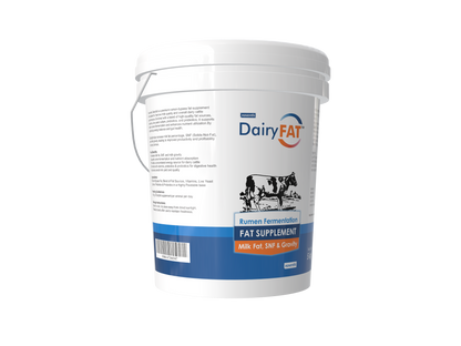 Noventis Dairyfat – Rumen-Bypass Fat Supplement for Dairy Cattle | Boosts Milk Fat %, SNF, Milk Gravity & Yield | Energy-Rich Formula with Vitamins, Prebiotics, Probiotics & Live Yeast Culture