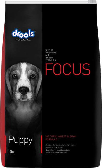 Focus Puppy