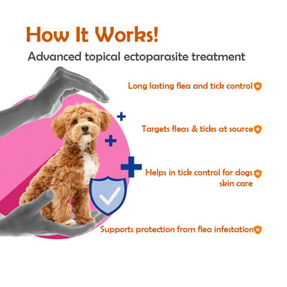 Fluracto Spot-On for Dogs | Fluralaner-Based Flea & Tick Control