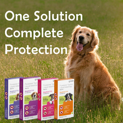 Fluracto Spot-On for Dogs | Fluralaner-Based Flea & Tick Control