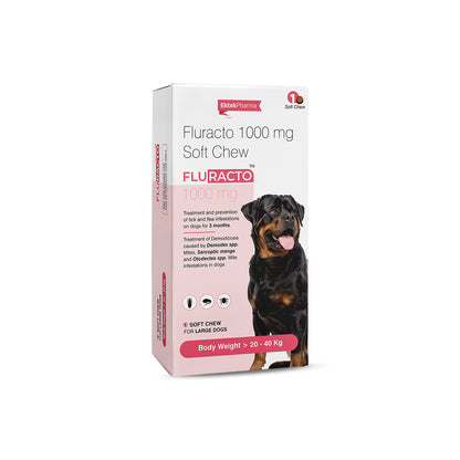 Fluracto Chewable Tablets for Dogs | Flea & Tick Control