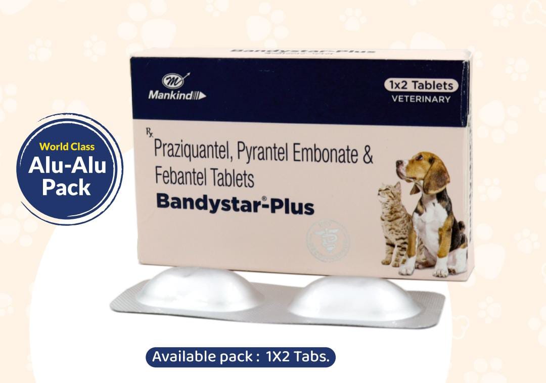 Bandystar Plus Deworming Tablet