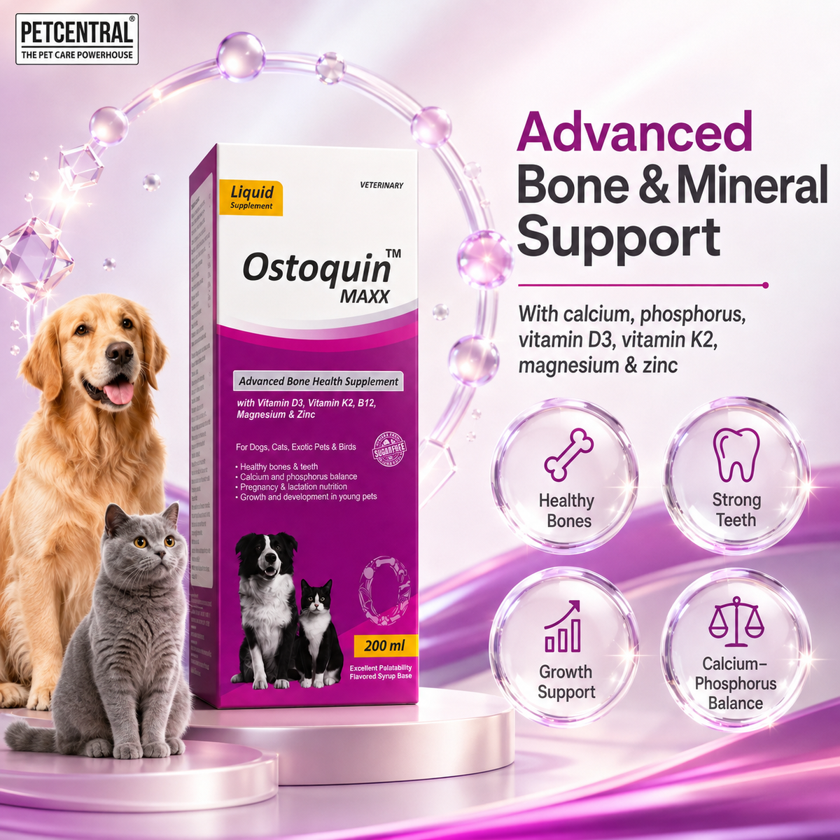 Ostoquin Maxx + NHC Multiquin Advance Daily Nutrition Combo for Dogs & Cats | Bone & Mineral + Multivitamin, Amino Acids & Taurine | Sugar-Free Liquid | 200 ml Each | Pack of 2