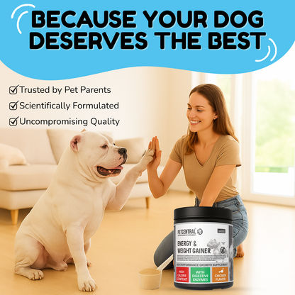 Noventis PETCENTRAL Energy & Weight Gainer for Dogs with high-calorie content, featuring digestive enzymes, and chicken flavor, highly palatable