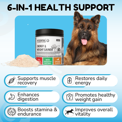 PETCENTRAL Energy & Weight Gainer for Dogs with high-calorie content, featuring digestive enzymes, and chicken flavor.